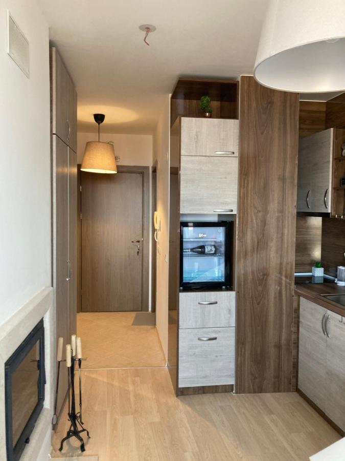Mirabell Studio Bansko - Amazing View & Fireplace מראה חיצוני תמונה