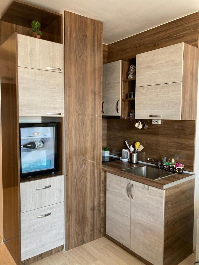 Mirabell Studio Bansko - Amazing View & Fireplace מראה חיצוני תמונה