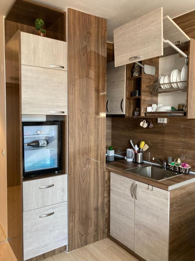 Mirabell Studio Bansko - Amazing View & Fireplace מראה חיצוני תמונה