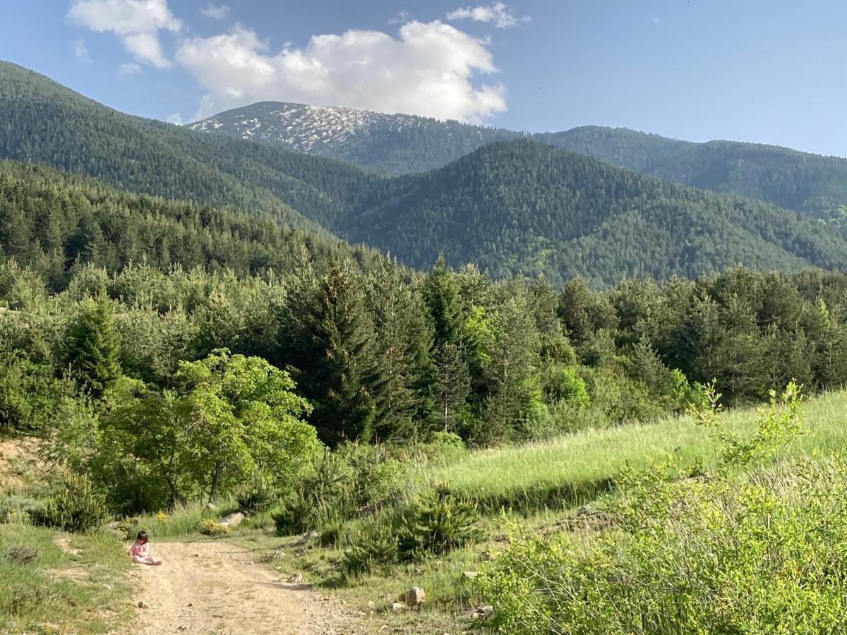 Mirabell Studio Bansko - Amazing View & Fireplace מראה חיצוני תמונה